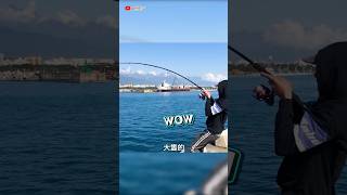 【岸拋】這魚真有力～人被拖著跑欸！#花蓮東堤 #神奇小卷 #煙仔 #fishing