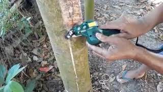 MESIN PENYADAP KARET CANGGIH ( ELECTRIC RUBBER TAPPING )