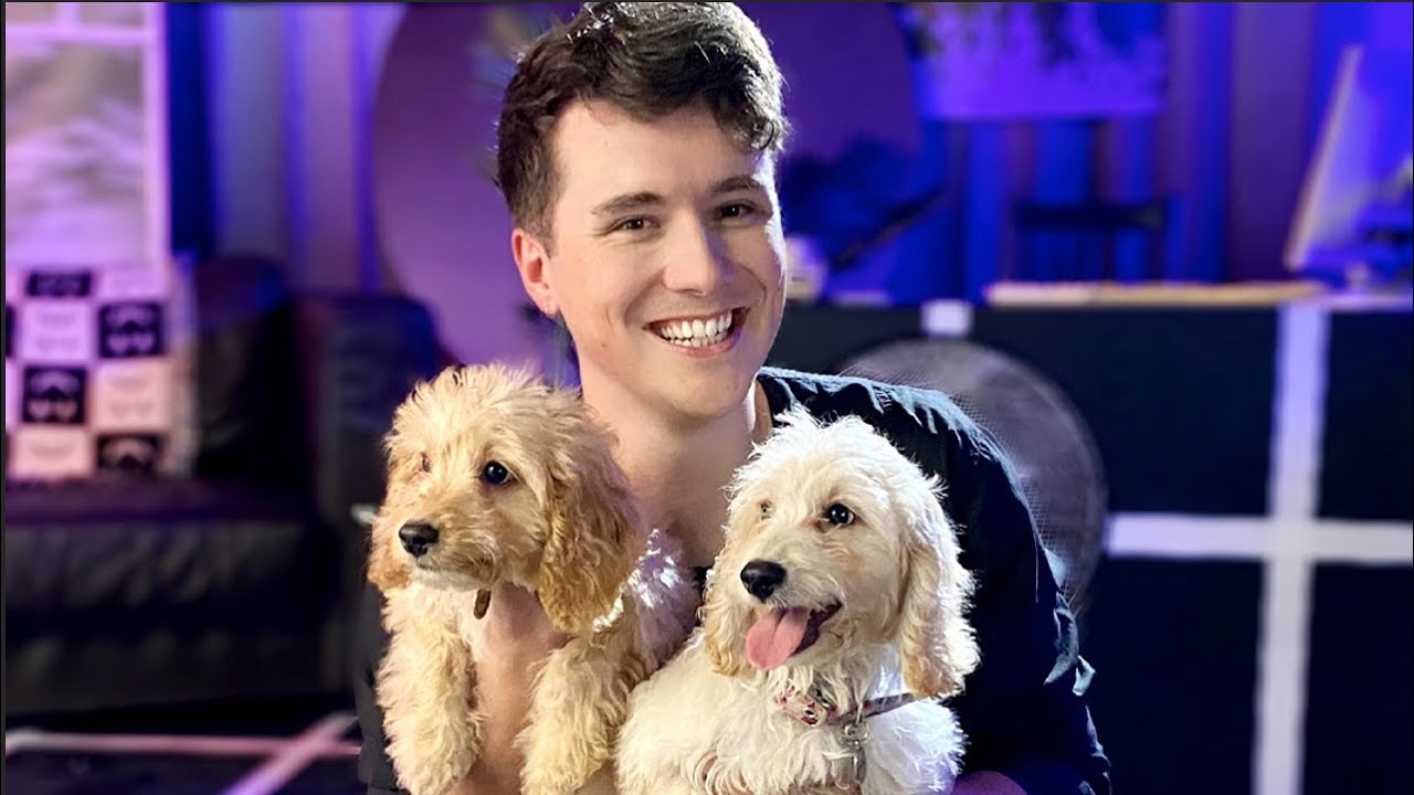We Got Puppies Youtube