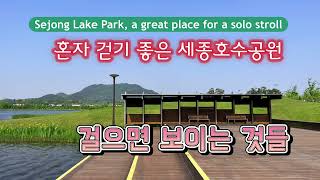 세종시 호수공원 돌면 보이는 것들 l Things you can see in Sejong Lake Park 광합성 하기 좋네 l Sunshine Spot l