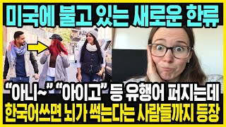 한국어 감탄사가 유행어가 된 미국 | 한국 유행에 대한 미국인들의 비판 | 한국과 미국의 특징