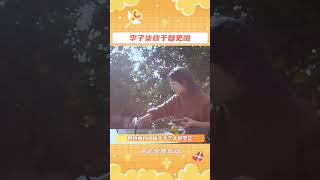 手工女王李子柒终于复更啦#网友喊话李子柒终于等到你 #抖音精选 #百young非遗计划#shorts