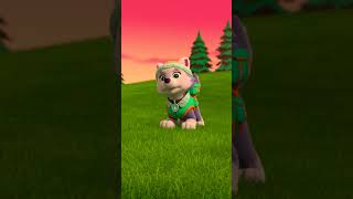 PAW Patrol pull some strings! #PAWPatrol #Shorts