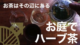 うちみるのくらし「お茶」Nov.2020