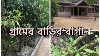 আমাদের গ্রামের বাড়ি দেখতে কেমন?#vlog1🇧🇩