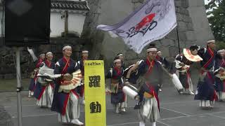 躍動　小田原えっさホイ踊り２０１８＠銅門会場