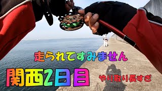 クロダイ落とし込み関西　2020 no.2ー1 Japan black sea bream fishing