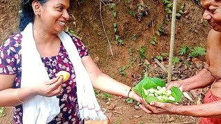 തേങ്ങാപ്പാൽ ചേർത്ത പച്ച കശുവണ്ടി കറിക്ക് എന്താ രുചി 🤤 Cashew Nut Curry