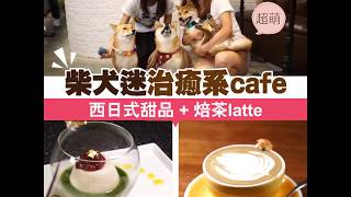 柴犬迷治癒系cafe