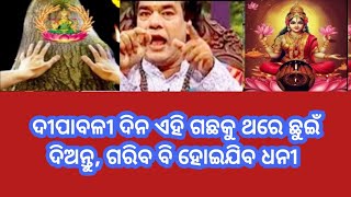 ଦୀପାବଳୀ ଦିନ ଏହି ଗଛକୁ ଥରେ ଛୁଇଁ ଦିଅନ୍ତୁ, ଗରିବ ବି ହୋଇଯିବ ଧନୀ motivational quotes// vastu tips