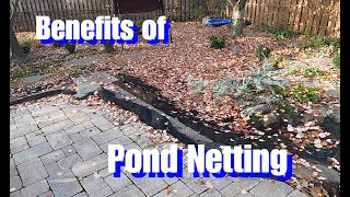 Benefits of Netting A Pond | Pond Netting