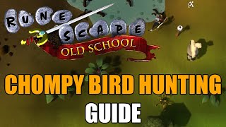 Chompy Bird Hunting Guide - Old School RuneScape