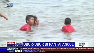 Petugas Berikan Edukasi Bahaya Ubur-ubur kepada Pengunjung Pantai Ancol