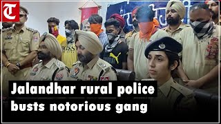 Jalandhar rural police busts notorious gang; arrests 7, seizes weapons and narcotics