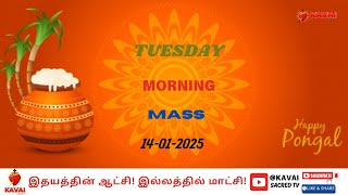 Live | 14-01-2025 | செவ்வாய் | காலை திருப்பலி | இயேசுவின் திரு இருதய ஆலயம் | காவல்கிணறு.