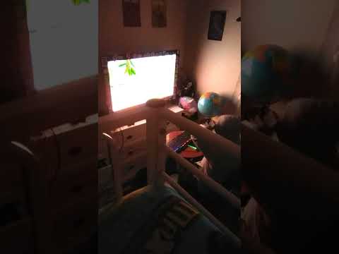 my brother is doing a Roblox pet swarm simulator live stream