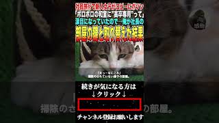 【感動する話】社員旅行に行くと新人女子がロビーで１人ポツン「ボロボロの和室に高卒専用って張り紙が…」涙目になっていたので、俺が社長の部屋の鍵と取り替えるとその後、衝撃の展開となる..【スカッと】【朗読