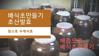 혈액을중화시켜주는 배식초 만들기