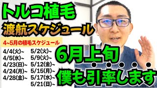 【トルコ植毛の旅】6月上旬に僕も引率します 一緒に行きたい人は連絡下さい【自毛植毛｜薄毛対策】