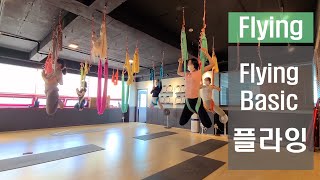 베이직 플라잉요가/온더해먹/미들스트랩 나비자세(Flying Yoga Butterfly Posture)