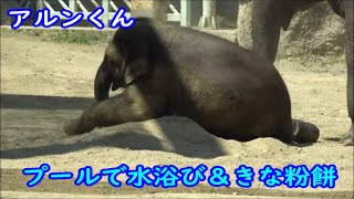 アルンくんとウタイちゃん、朝から水浴び＆きな粉餅　 2022.06.30