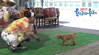 유랑품바 양푼이 - 공연중 농악팀과 한바탕 베틀!!