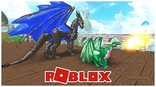 Roblox Dragons Life Videos 9tubetv - 
