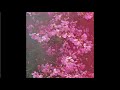 Beach House - Woo