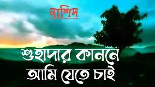 শুহাদার কাননে আমি যেতে চাই,  অসাধারণ সমসাময়িক একটা নাশিদ,  ওস্তাদ মুহাম্মাদ,  #নাশিদ #nasheed