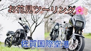 【佐賀モトブログ】桜の名所を探しに行くイクイク！