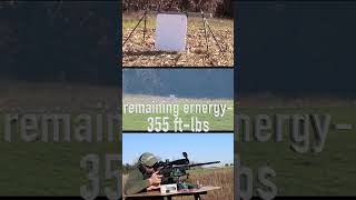 AR-15 5.56 vs 6.5 creed vs 300 PRC @ 1500 Yards