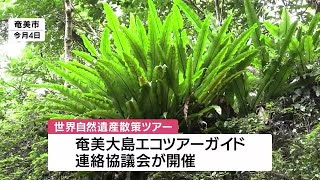 「初めて見る植物を知れてよかった」　地元の小中学生が世界自然遺産地域を散策　鹿児島・奄美大島