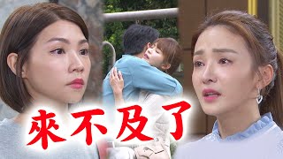 【天之驕女】EP32 仁芯後悔了?! 子婷故意找仁美來抓聖元