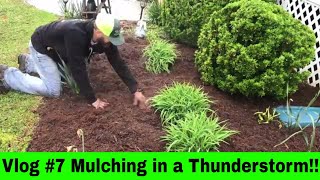 Vlog #7 2018 Mulching Beds in a Thunderstorm