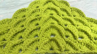 Crochet Triangular Shawl