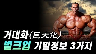 벌크업을 위해서 꼭 알아야 할 3가지 (대부분 놓칩니다)