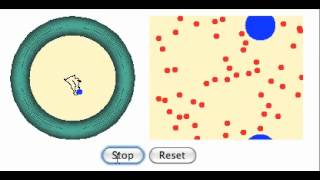 Diffusion Simulation.mov