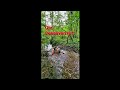 BEAVER DAM REMOVAL In One Minute! | Down On My Knees!