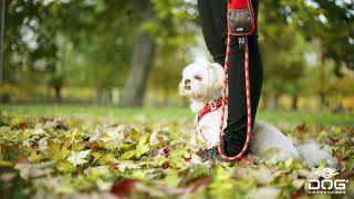 Lifestyle - Comfort Walk Air harness