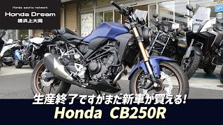 生産終了となりましたがまだあります！「新車 CB250R」マットパールアジャイルブルーをご紹介致します！ホンダドリーム横浜上大岡