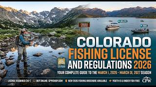 Colorado Fishing 2026: License and Regulations