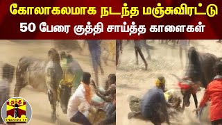 கோலாகலமாக நடந்த மஞ்சுவிரட்டு ! 50 பேரை குத்தி சாய்த்த  காளைகள் ! | #ThanthiTv