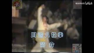 巴渝武術典藏（二十）川渝八極拳簡介 #martialarts #kungfu