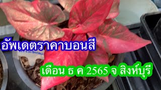 อัพเดตราคาบอนสี เดือน ธ ค 65 ที่ จ สิงห์บุรี EP2