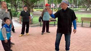 【推敲太極拳】【20201205(12)】 use the elbow to move