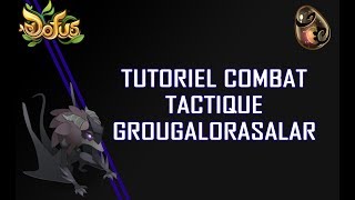 Tutoriel combat tactique: Grougalorasalar [Dofus Ebène]