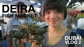 Deira Fish Market | Dubai, UAE