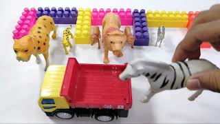 Elephant Lion and Horhosh | Car For Children | Mama Kids Learning