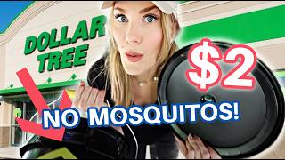 6 Dollar Tree Summer Hacks That Are Scandalously Good! 👀 🔥