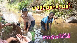 ดิบ ฝน ชนเผ่า EP224 สาวฮากไม้ใต้พาล่าตตะขาบน้ำมาทำอาหาร